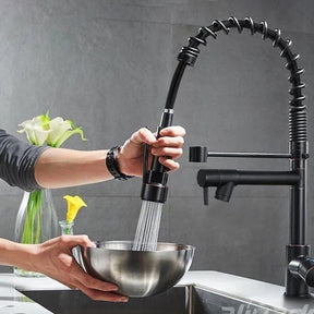 Grifo de cocina monomando gourmet con rociador extensor