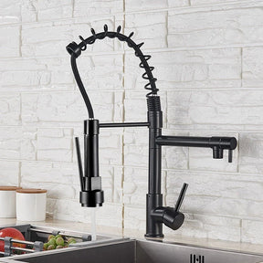 Grifo de cocina monomando gourmet con rociador extensor